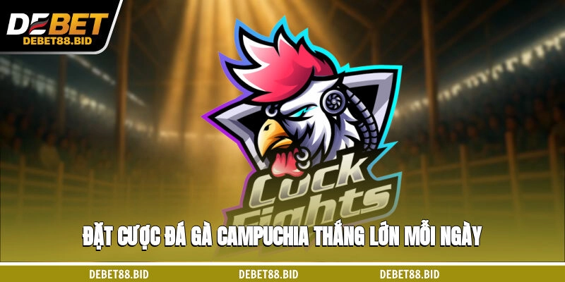 Đặt cược đá gà Campuchia thắng lớn mỗi ngày