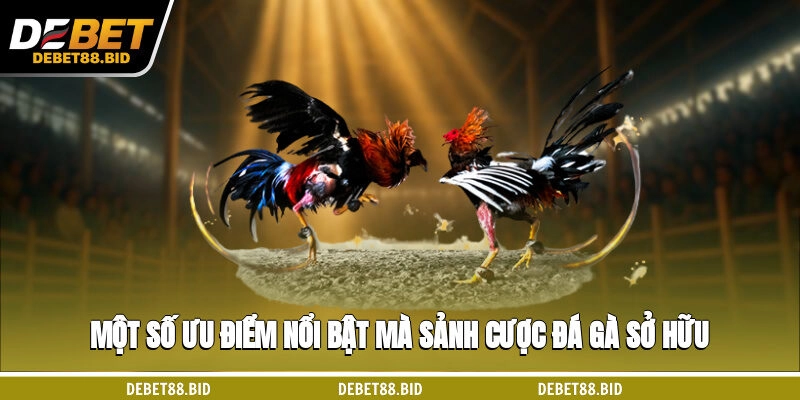 Một số ưu điểm nổi bật mà sảnh cược đá gà sở hữu