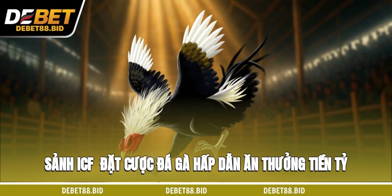 Sảnh ICF - Đặt Cược Đá Gà Hấp Dẫn, Ăn Thưởng Tiền Tỷ