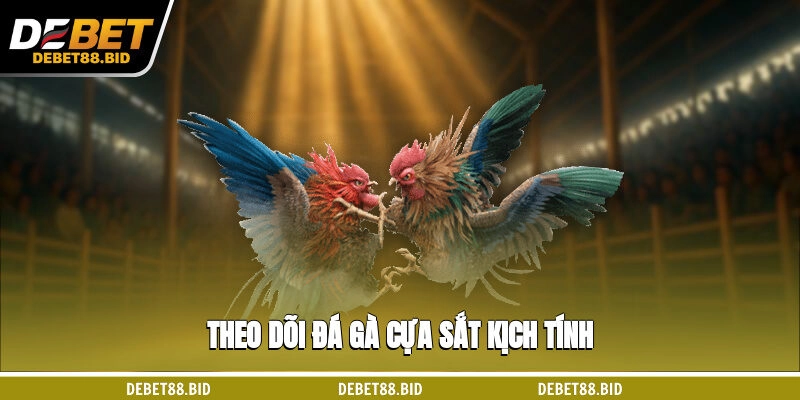 Theo dõi đá gà cựa sắt kịch tính